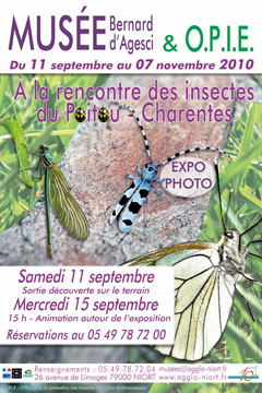 Affiche de l'expo photo A la rencontre des insectes du Poitou-Charentes